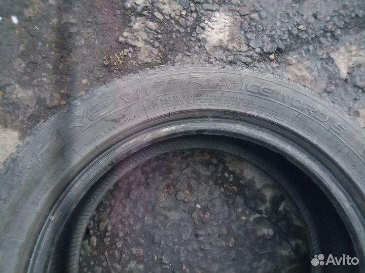 Maxxis Premitra Ice Nord NP5 5.50/12.5 R16 24E