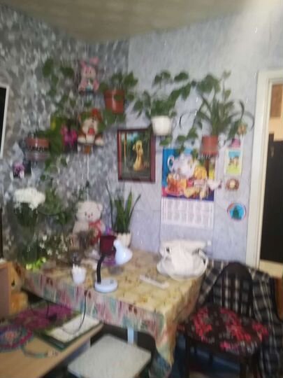 1-к. квартира, 20,5 м², 2/5 эт.