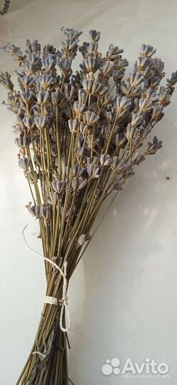 Букет лаванды