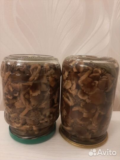 Грибы опята (маринованные)