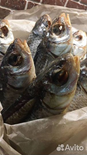 Астраханская вобла