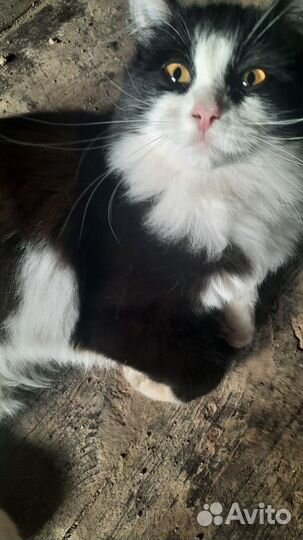 Мальчику 4 месяца