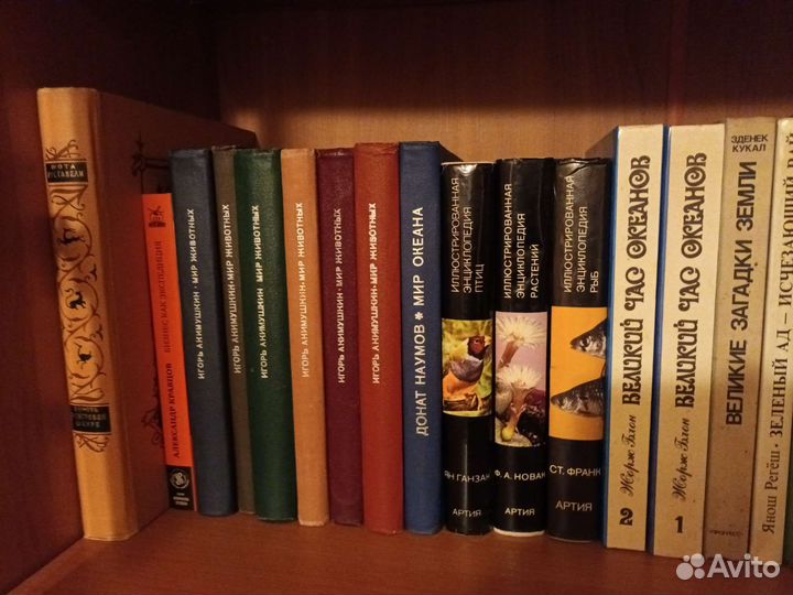 Жизнь животных