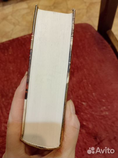 Брайан д Амато хранитель солнца