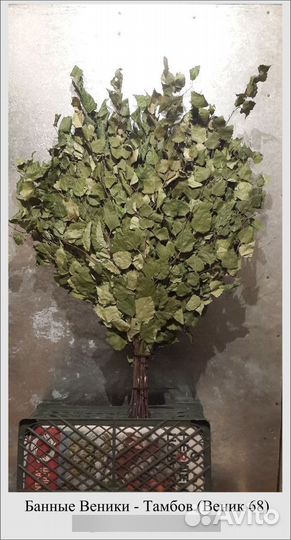 Продам #Веник68 (дуб, береза, клен, вишня)