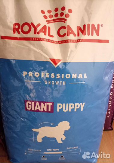 Корма Роял Канин, Джемон, Монж для кошек