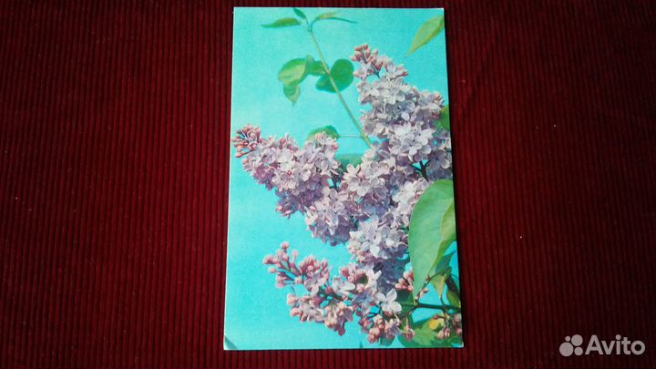 Разные открытки СССР 70-е и 90-е годы