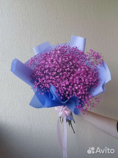 Гипсофила Букеты Цветы