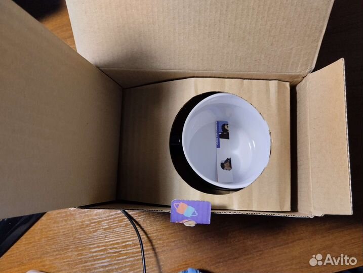 Кружка хамелеон с мемом в подарочной коробке