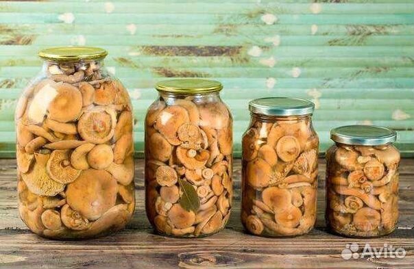 Продаю грибы