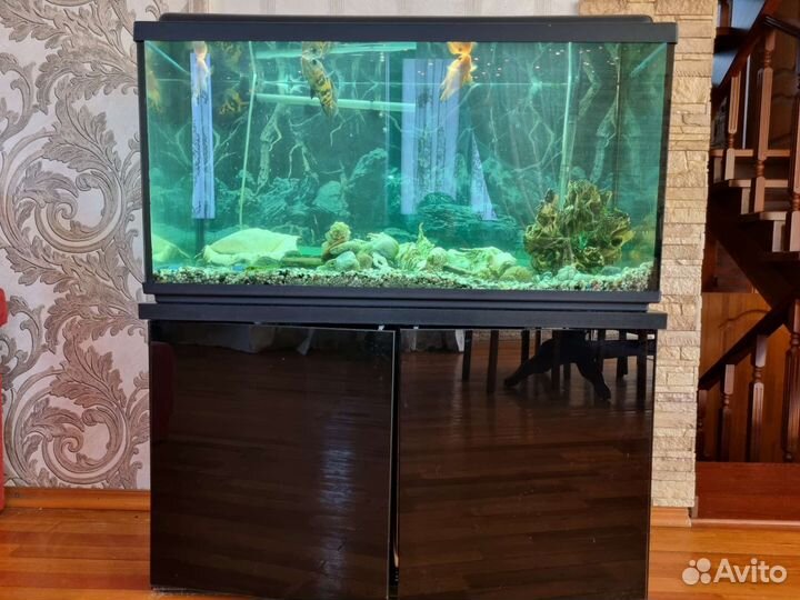 Аквариум на 200 литров