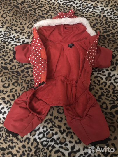 Комбинезон для маленькой собачки