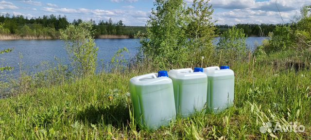 Хлорелла для водоемов