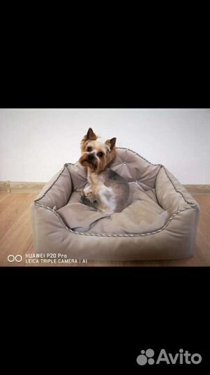 Новая лежанка для маленьких собак