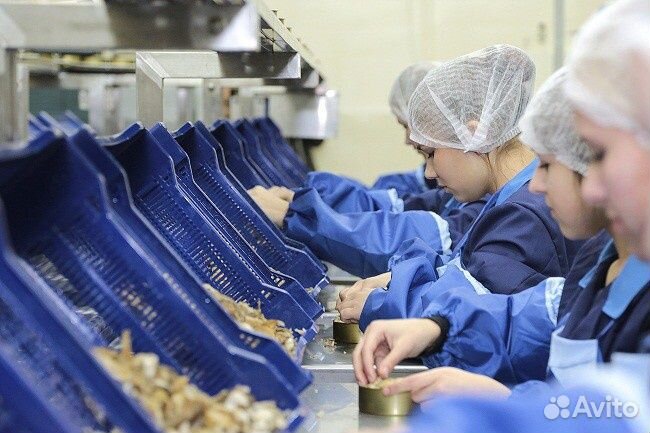 Рыбоперерабатывающее предприятие в Сибири