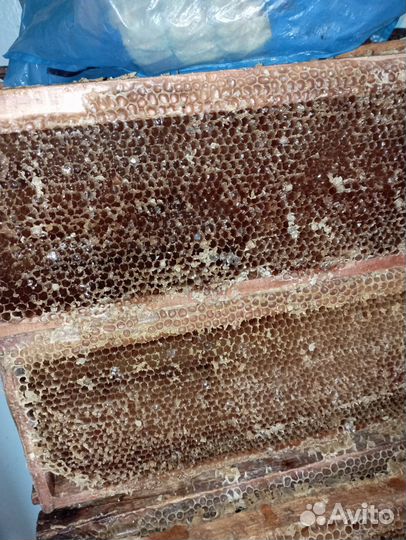 Полурамки суш