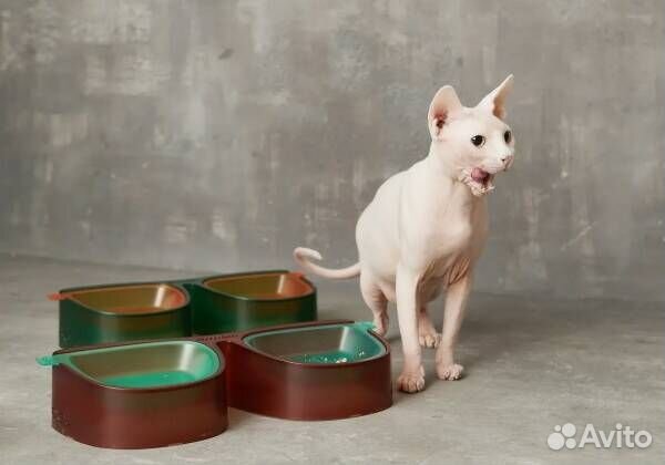 Миска для кормления кошек и собак