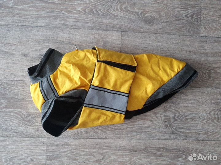 Одежда для собаки