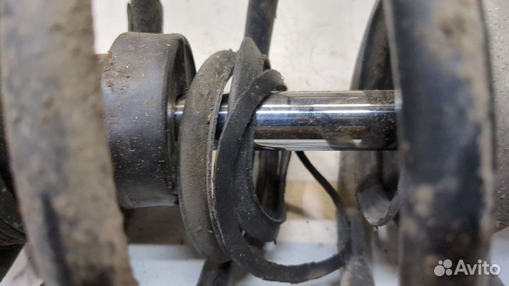 Амортизатор подвески Nissan Almera N16, 2004