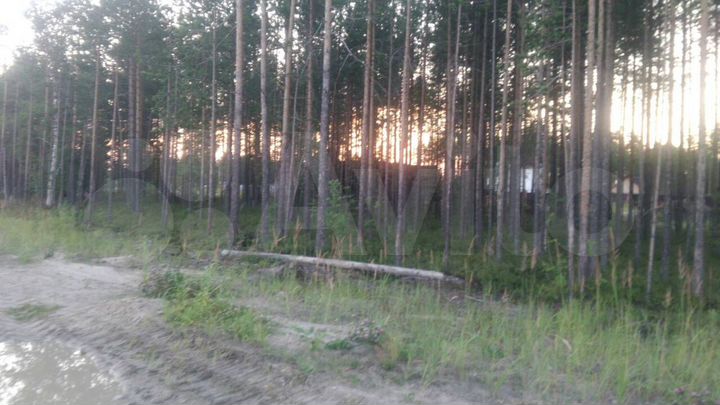 Участок 6 сот. (ИЖС)