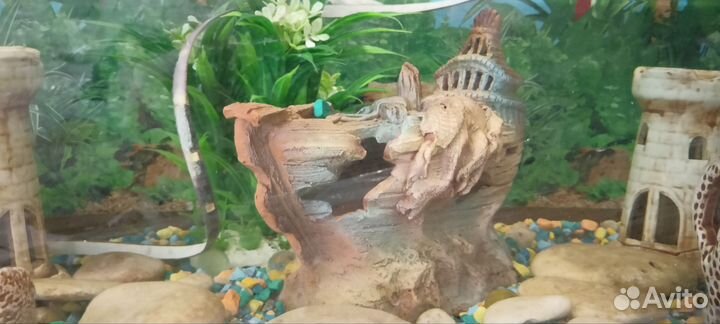 Аквариум 60л