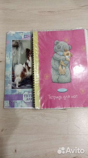 Нотная тетрадь