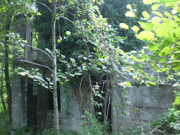 Участок 5 сот. (СНТ, ДНП)