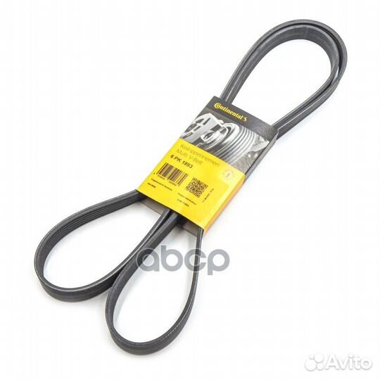 CT-6PK1893 ремень поликлиновой Ford Focus 1.4