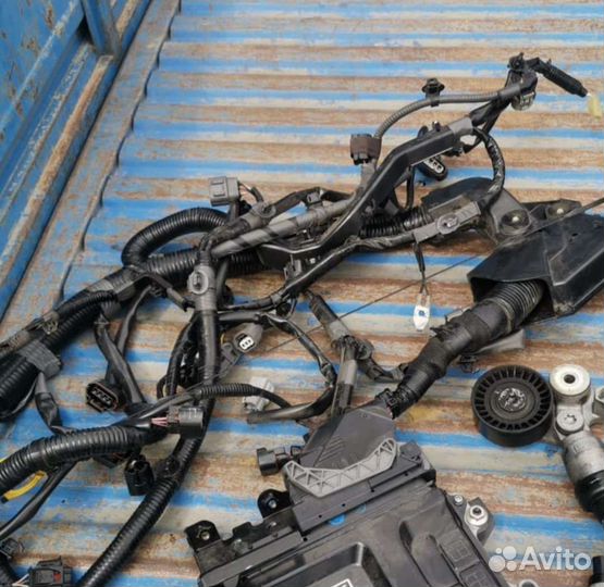 Коса проводка двс Mazda 6 GJ 2.5 PY 28т.км