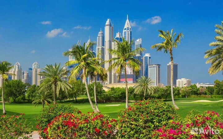 Турпоездка в ОАЭ от 1-го чел
