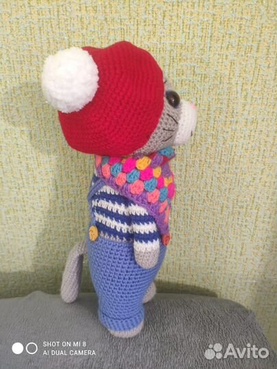 Котик Джереми