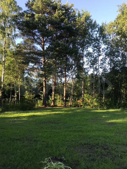 Дом 54 м² на участке 6,7 сот.