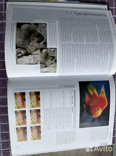 Библия цифровой фотографии