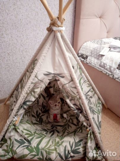 Новый вигвам для животных