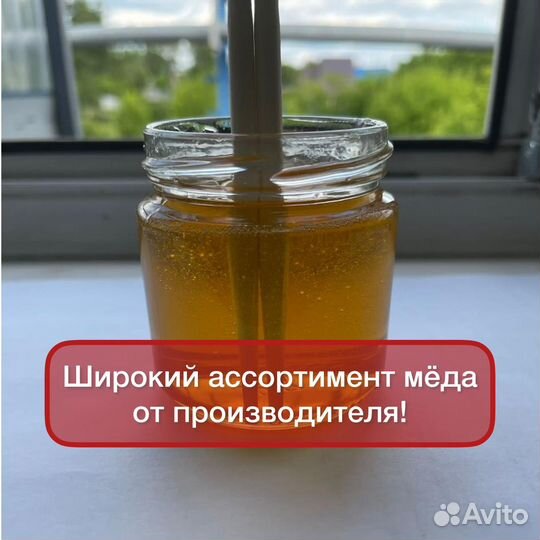 Мед алтайский оптом. Доставка из Барнаула