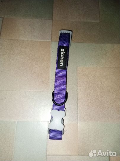 Вещи для животных