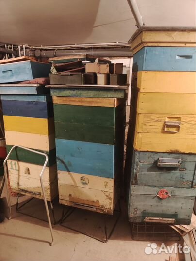 Пчелиные ульи