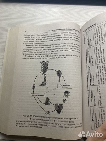 Справочник по биологии Легион