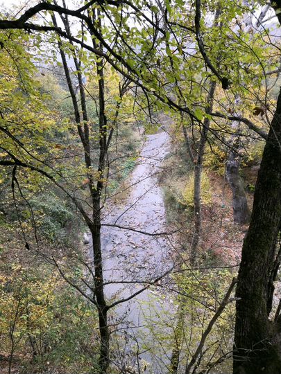 Участок 12 сот. (ИЖС)