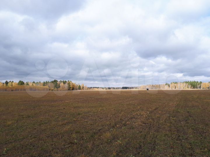 Участок 32 га (СНТ, ДНП)