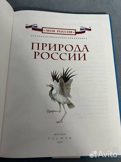 Природа России