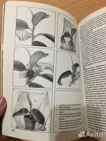 Книга мини- энциклопедия Комнатные растения