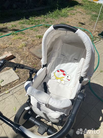 Коляска 2 в 1 adamex