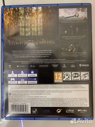 Hogwarts legacy ps4