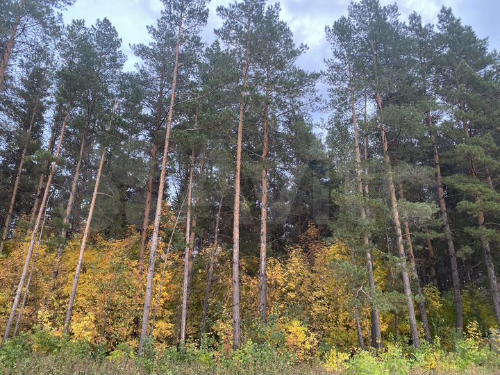 Участок 12 сот. (ИЖС)