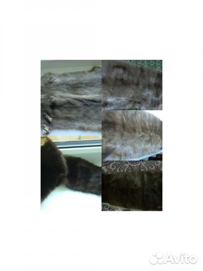 Меховые шкурки норка