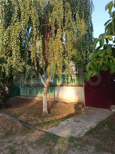 Дом 50 м² на участке 11 сот.