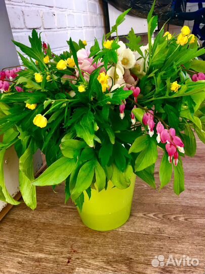 Букеты, цветочные комп,подарок