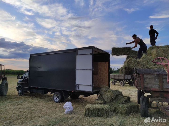 Сено разнотравье