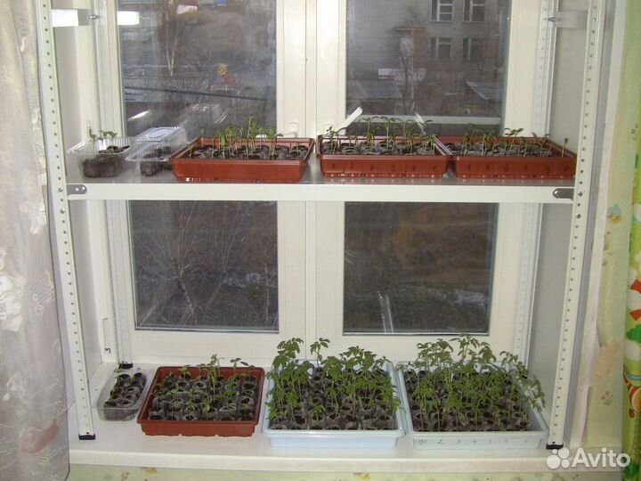 Стеллаж новый разборный металлический для рассады